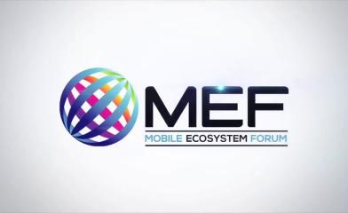 TeleWhale Ltd. стал членом MEF!